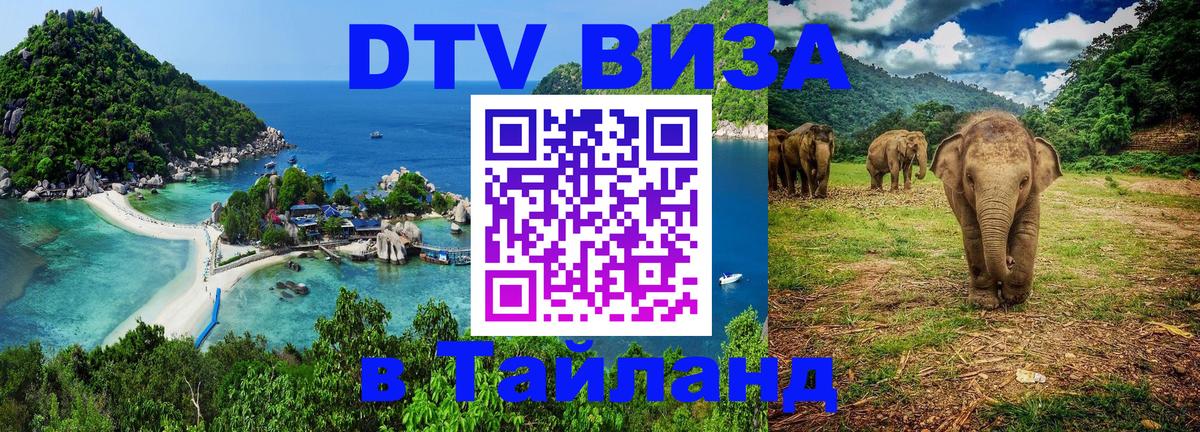Оформление DTV визы под ключ: стоимость и тарифы, только загранпаспорт - 